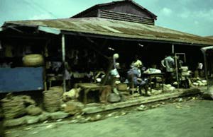 Roger Steffens photo 4