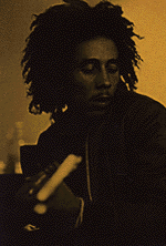 Bob With Guitar
