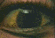 Eyeball